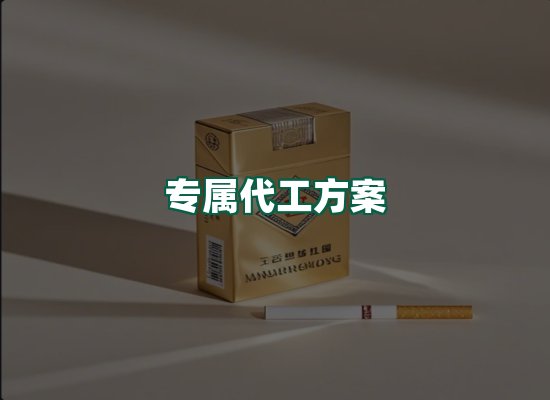 核心优势